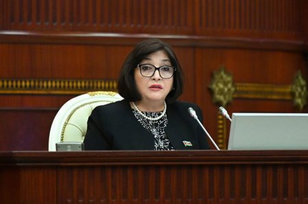 Milli Məclisin sədri Sahibə Qafarovanın parlamentin 30 may 2023-cü il tarixində keçirilən plenar iclasında çıxış etdi